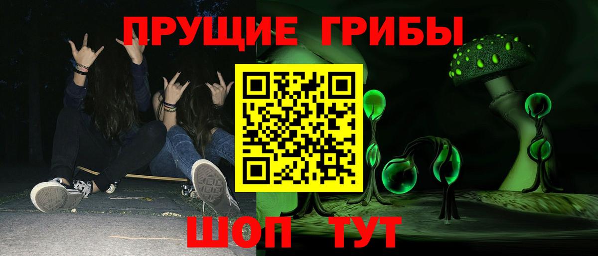 Ишим  Галлюциногенные грибы Psilocybine cubensis  Вход с VPN 
